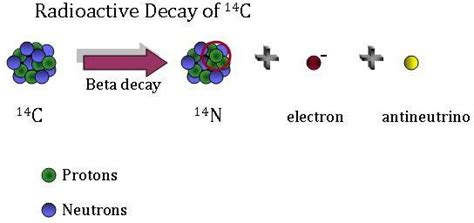 beta decay of carbon 14|7.3: Radioactive Decay, Half life, and C.